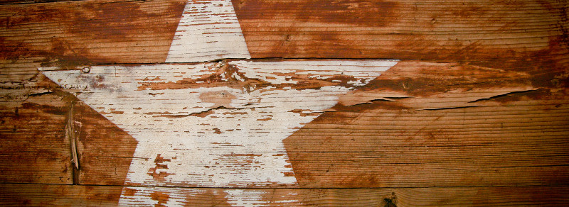 Ten Days in Texas: D. M. Canright's 1876 Visit to Texas
